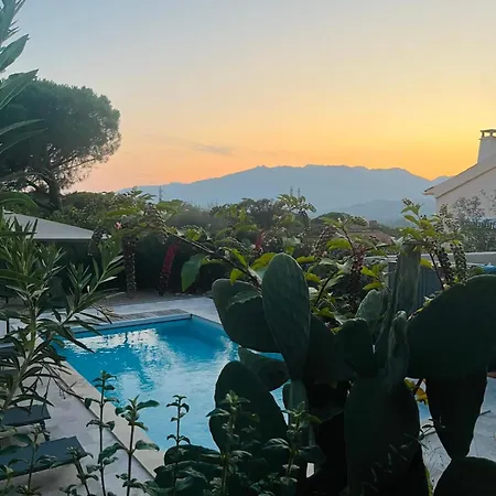 Edith Et Jean-paul Daire Porto-Vecchio (Corsica)