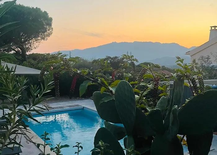Edith Et Jean-paul Апартаменты Порто-Веккьо